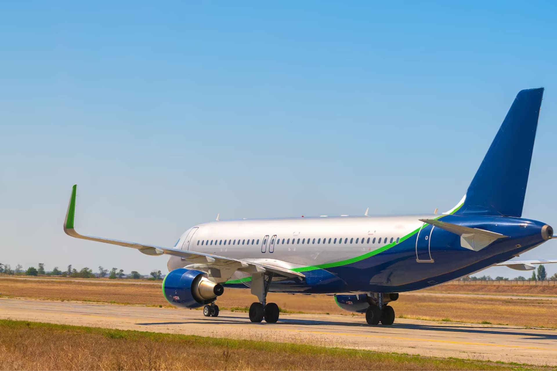 Avión volando en el horizonte